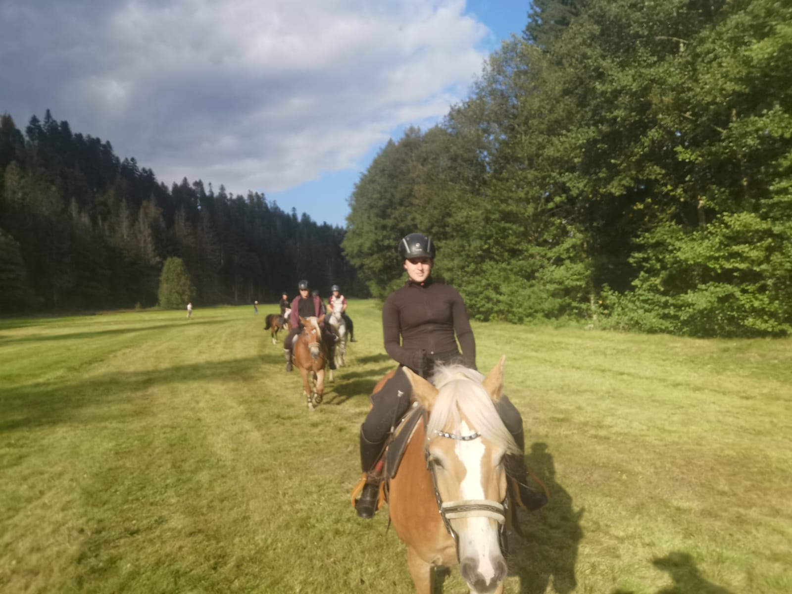 Reitunterricht auf dem Hof